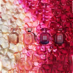 Bombshell Eau de Parfum Rollerball Set